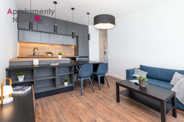 Spacious, two-bedroom apartment 55 sqm in a new investment “Apartamenty Przybyszewskiego”