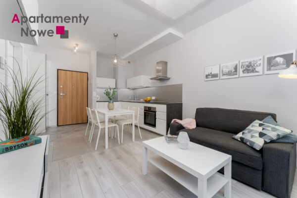 Functional, modern one-bedroom apartment in a new development “Rakowicka Podkowa” near to the city center